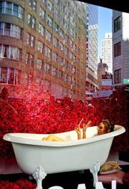 巧管家 七招成就潔凈光亮浴缸